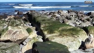 OBRAS EN EL MURO DE LA PLAYA MARZO 2024