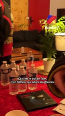 Zaho de Sagazan nous fait visiter la loge de son Zénith