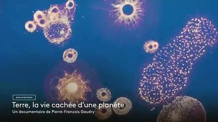 [BA] Science grand format – Terre, la vie cachée d’une planète - 18/04/2024