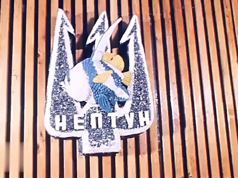 Время. Эфир 8 апреля 1979 г. Золотые рыбки металлургов.