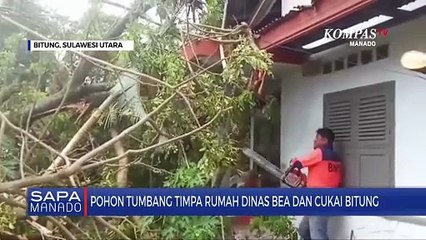 Pohon Tumbang Timpa Rumah Dinas Bea Dan Cukai Bitung