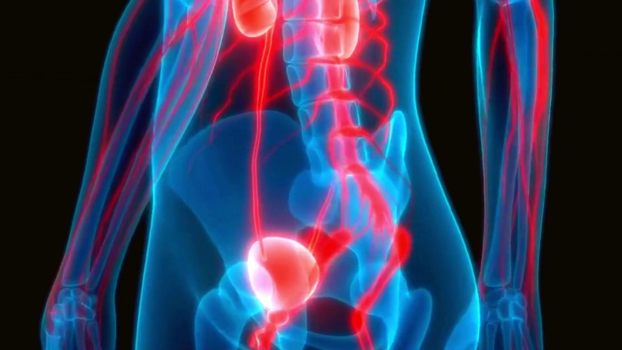 Unlocking Male Enhancement