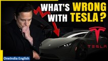 Unravelling Tesla's Turmoil: Declining Sales, Competition, and Elon Musk's Impact | Oneindia News
