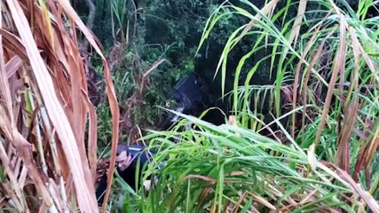 Mulher perde o controle da direção, sai da rodovia e carro vai parar em ribanceira da BR-163