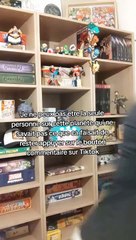 Je ne peux pas etre la seule personne sur cette planète