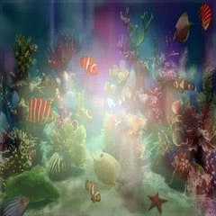 Dora The Explorer S05E18 Boots Banana Wish