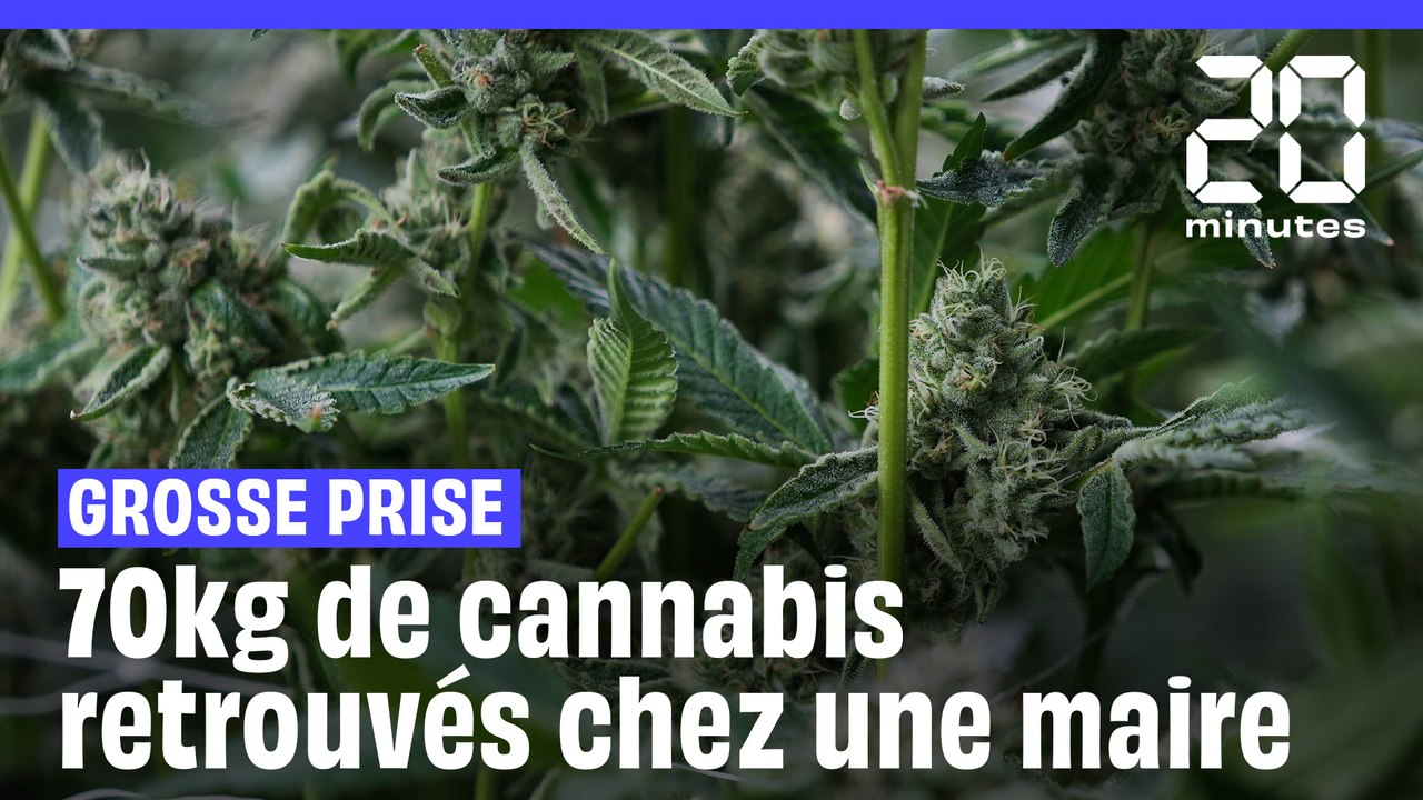 Yonne : Au moins 70 kg de cannabis découverts chez la maire d’Avallon
