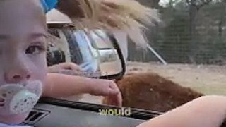 Camel Crash | toddler Hilarious Drive Thru Safari Mishap