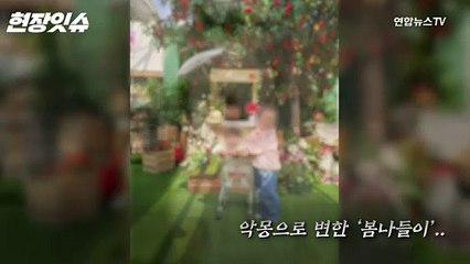 [현장잇슈] "제대로 된 안전띠 하나 없이.." 뒤집힌 '깡통기차'에 악몽 된 봄나들이
