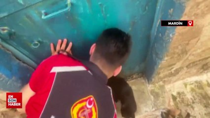 Mardin'de bir haftadır mahsur olan kedi kurtarıldı