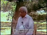 Pode o pensamento gerar a ação correta? - 1981