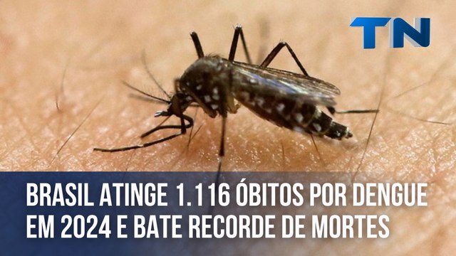 Brasil atinge 1.116 óbitos por dengue em 2024 e bate recorde de mortes pela doença