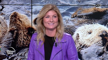 Vos animaux : loutre, castor, ragondin, saurez-vous les différencier ?