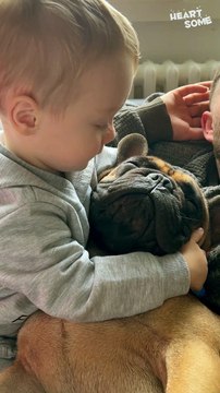 Toddler & French Bulldog Besties Melt Hearts | Big Hugs for Little Frenchie