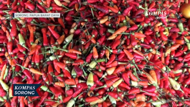 Harga Bumbu Dapur di Pasar Sentral Remu Sorong Terpantau Normal Jelang Lebaran