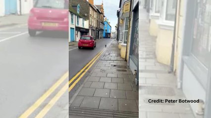 Otter strolling down Bridge Street in Aberystwyth