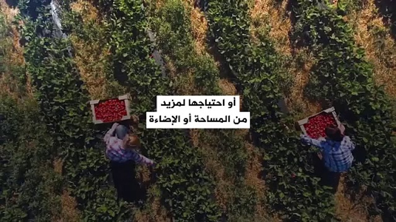 من بينها الذكاء الاصطناعي والميتافيرس.. تعرفوا على 5 تقنيات ناشئة قد تغير العالم!