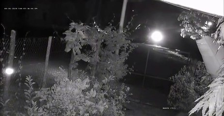 Vídeo capta colisión entre un camión transportador de ganado y un vehículo