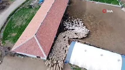 Bu buluşma yüzleri gülümsetti