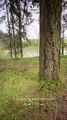 Anthony Delon a rendu hommage à son ami Jean-Yves Le Fur à Douchy