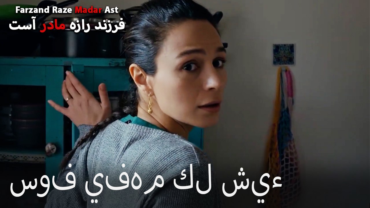 سوف يفهم كل شيء