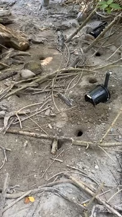 Pescando güeyes