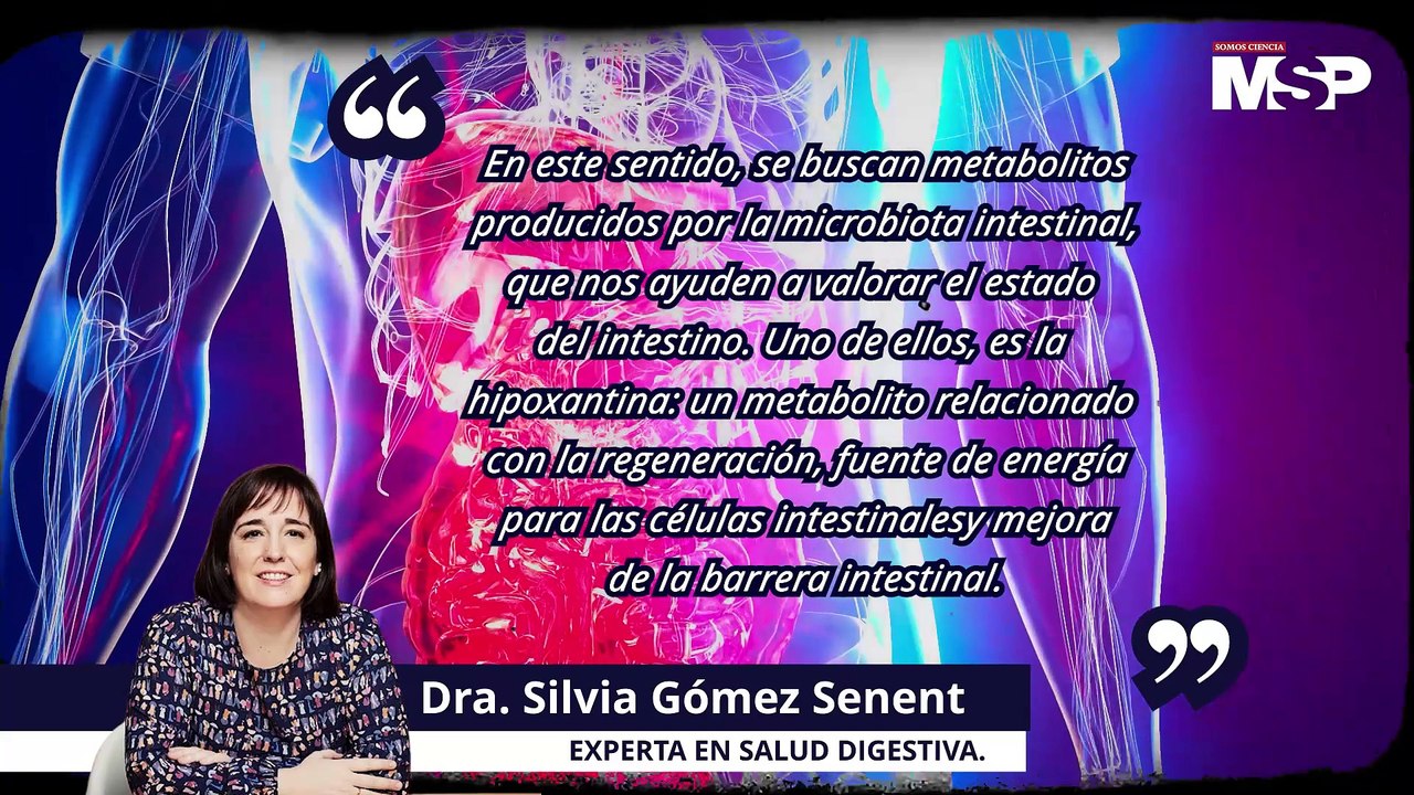 Hipoxantina en el Síndrome de Intestino Irritable: ¿Qué es y para qué sirve? - #EspecialMSP