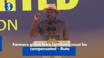 Farmers given fake fertilisers must be compensated - Ruto