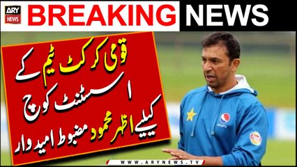 Azhar Mahmood in race for assistant coach of Green Shirts | Breaking News