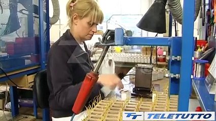 Video News - Più lavoro, ma è precario