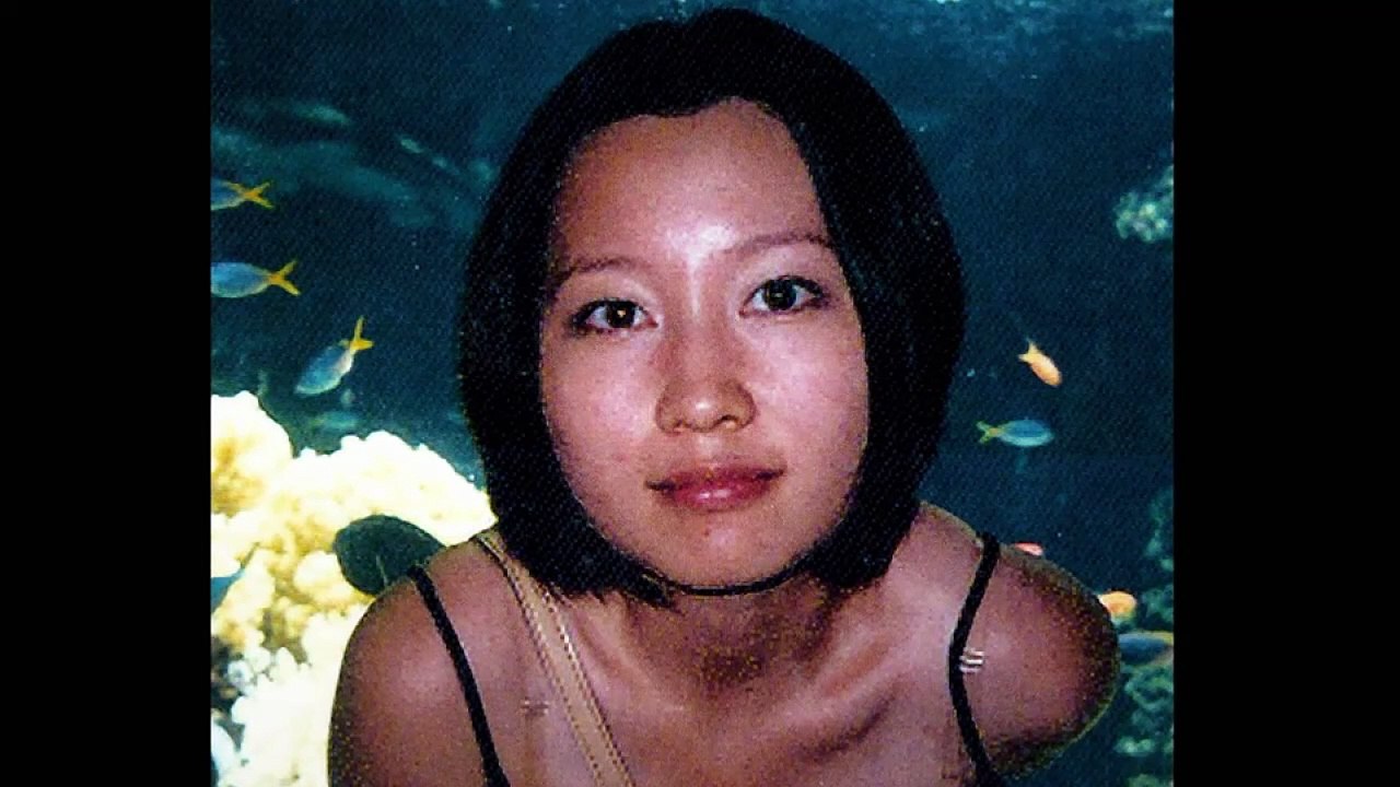 The Suitcase Murders S01E07 video Dailymotion