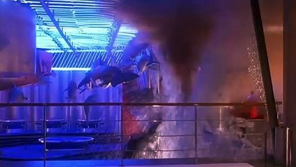 Niki Larson Bande-annonce (EN)