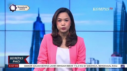 Download Video: Polri Upayakan Identifikasi 10 Jenazah Korban Kecelakaan Maut di Tol Japek Km 58