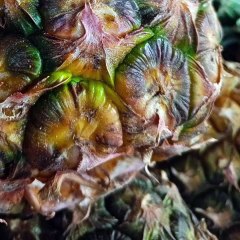 -ANDRÉS DE JESÚS VÉLEZ FRANCO- AMERICAN ASSASSIN 2017 (PARTE 1) (@AndresdeJesus90)