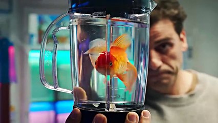 [s1] steven grant being everyone's favorite adorable doofus