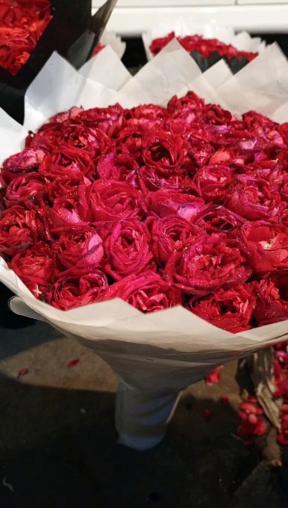 Beautiful Flowers #viral #trending #foryou #reels #beautiful #love #funny #delicious #fun #love #yummy