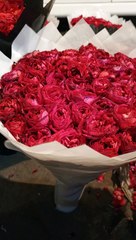 Beautiful Flowers #viral #trending #foryou #reels #beautiful #love #funny #delicious #fun #love #yummy