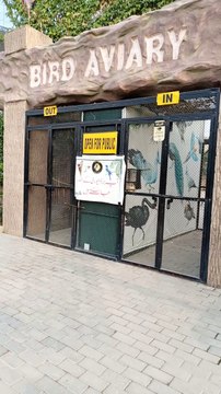 Birds Zoo #viral #trending #foryou #reels #beautiful #love #funny #delicious #fun #love #yummy