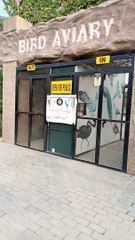 Birds Zoo #viral #trending #foryou #reels #beautiful #love #funny #delicious #fun #love #yummy