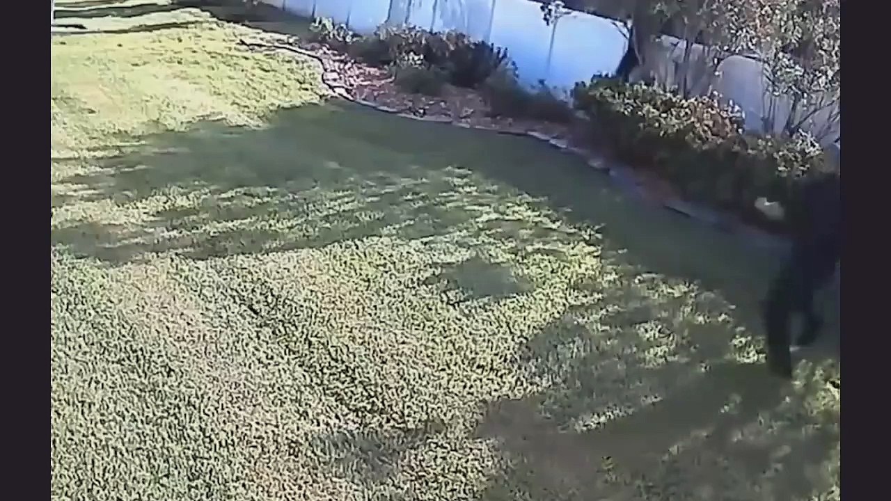 Thieves escape at lightning speed