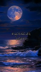 سورة الفتح بصوت الشيخ ياسر الدوسري الاية ١٠