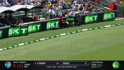 Darren Sammy Aims for T20 WC Glory with West Indies 🏆