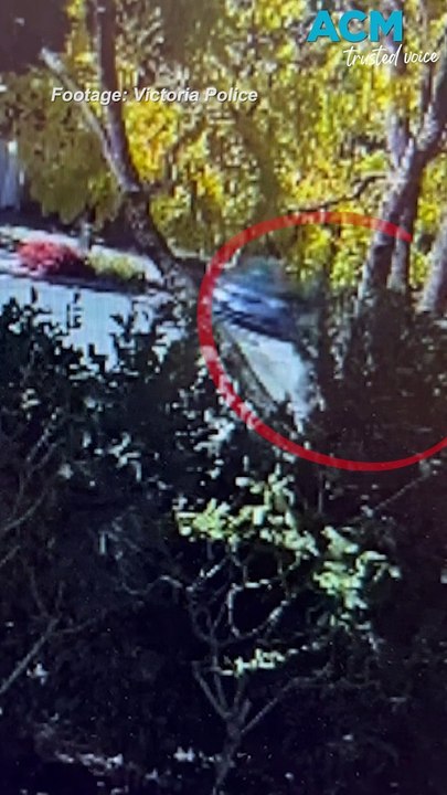 Victoria Police hunt for man after attempted abduction of 11-year-old girl