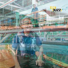 សិង្ហ​បុរី​លែង​ខ្វល់​រឿង​ខ្វះ​ត្រី​ហូប ក្រោយ​អតីត​វិស្វករ​អណ្តូងប្រេង​ម្នាក់ បង្កើត​កសិដ្ឋាន​ចិញ្ចឹម​ទំនើប