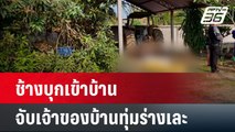 ช้างบุกเข้าบ้านจับเจ้าของทุ่มร่างเละ | เที่ยงทันข่าว | 9 เม.ย. 67