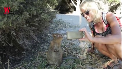 10 Amazing Facts You Don't Know About It | Urdu / Hindi