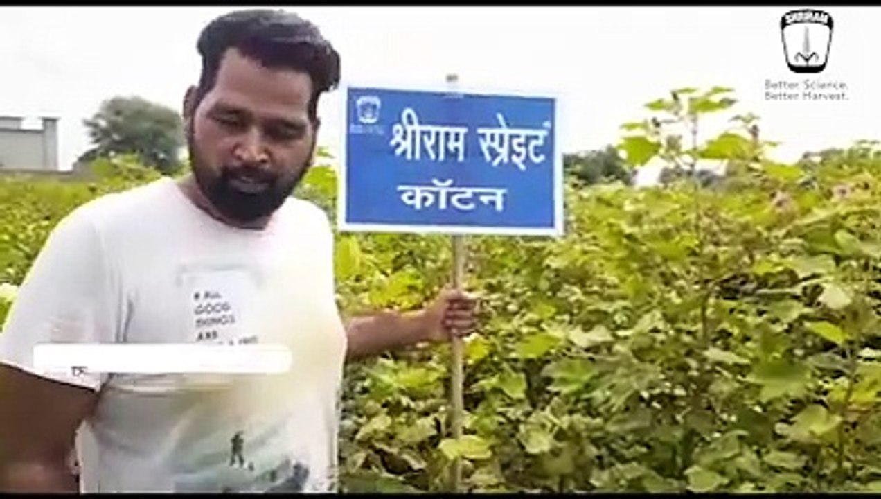 Success Stories: Shriram Sprayit Cotton Boosts Crop Health and Yield