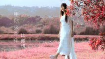 比佛利 Beverly Liu【甲你來作伴】Official Music Video
