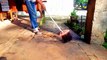 Learning to sweep the house porch