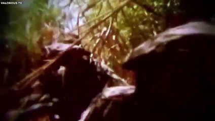 The Most Terrifying Legend of the Vietnam War